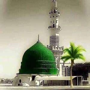 Meet your Posher, Shak